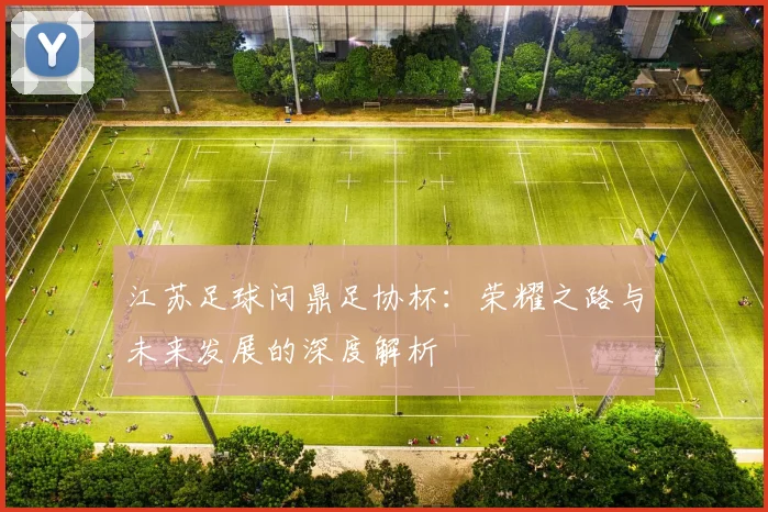 江苏足球问鼎足协杯：荣耀之路与未来发展的深度解析