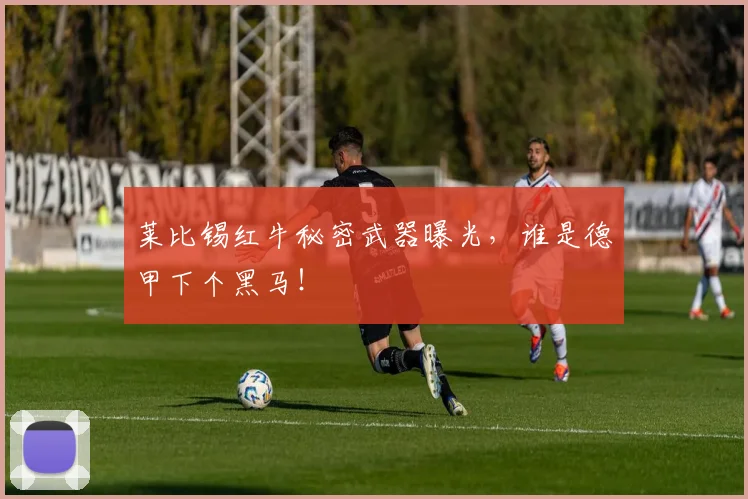 莱比锡红牛秘密武器曝光，谁是德甲下个黑马！